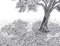 Stahlstich: Sonnensicheln unter einem Baum