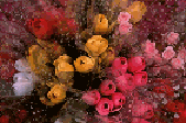 Foto: Blumenstrauß