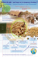 Poster 16