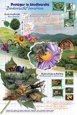 Poster 18