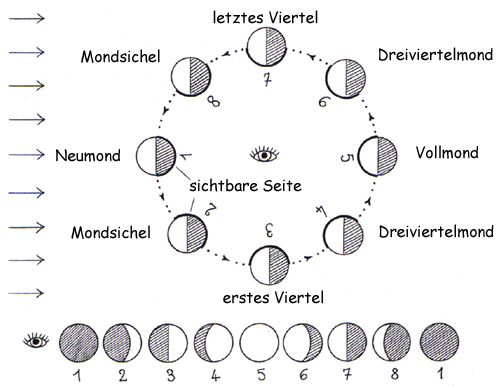 Die Mondphasen