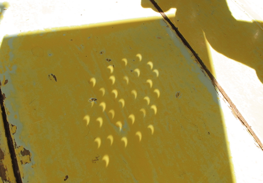 Foto: Sonnensicheln auf Holzdielenboden