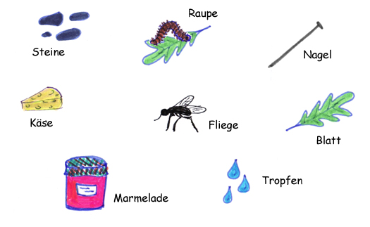 Zeichnung: veschiedene Dinge, die amiesen fressen bzw. nicht fressen