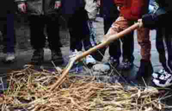 Foto: Kinder mit einer Heugabel