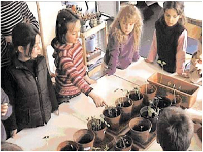 Foto: Kinder vergleichen Pflanzen in Töpfen