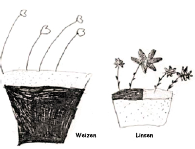 Kinder zeichnen ihre Pflanzen