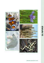 Fünf Arten aus fünf verschiedenen Habitaten