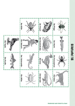 Tafel mit 14 Tierarten