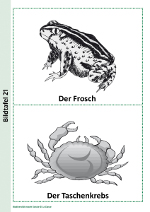 Der Frosch und der Taschenkrebs