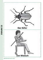 Der Käfer und der Mensch