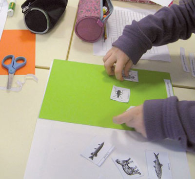 Foto: Ein Kind klebt Tierbilder auf ein Blatt Papier