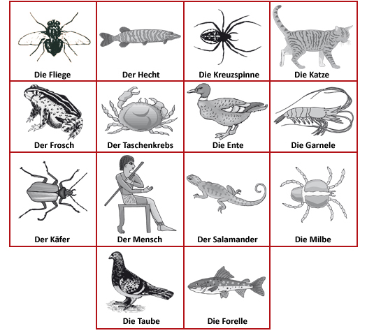 Bildtafel 18