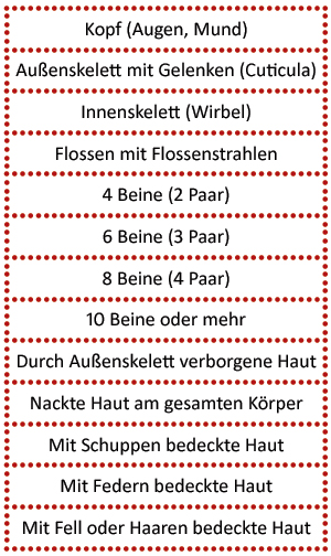 Liste der Merkmale für die Klassifizierung