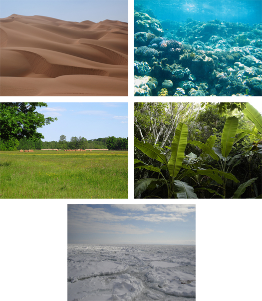 Foto mit 5 verschiedenen Habitaten