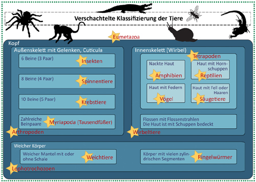 Verschachtelte Klassifizierung der Tiere