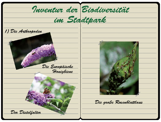 Auszug aus einem Biodiversitätsbuch