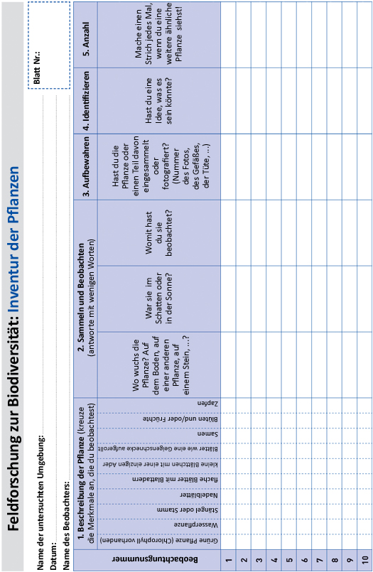 Feldforschungsblatt Pflanzen