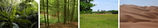 Foto: Vegetationstypen mit unterschiedlicher Biomasse