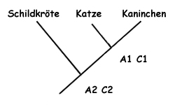 Stammbaum mit Katze, Kaninchen und Schildkröte