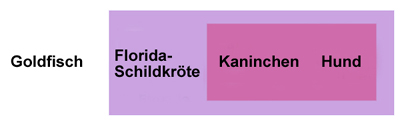 Eingruppierung von Goldfisch, Schildkröte, Kaninchen und Hund