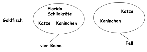 Eingruppierung von Goldfisch, Schildkröte, Katze und Kaninchen nach den Merkmalen vier Beine und Fell