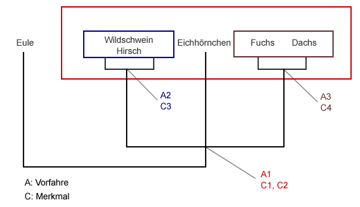 Eingruppierung von Eule, Wildschwein, Hirsch, Eichhörnchen, Dachs und Fuchs, andere Darstellungsweise