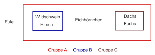 Eingruppierung von Eule, Wildschwein, Hirsch, Eichhörnchen, Dachs und Fuchs