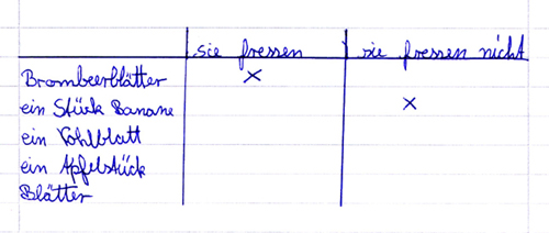 Tabelle. Was Stabheuschrecken fressen und was nicht