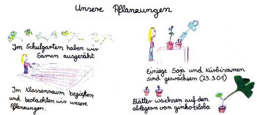 Kinderzeichnung: Pflanzungen im Schulgarten