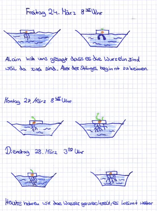 Weiterer Auszug aus einem Experimentierheft