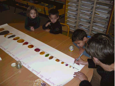 Foto: Die Kinder haben die Früchte nach ihrer Größe sortiert