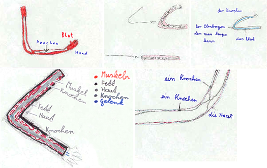 Wie sich Schüler/innen das Innere des Arms vorstellen