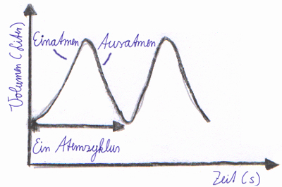 Diagramm: ein Atemzyklus