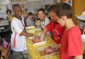 Foto: Kinder beim
Experimentieren