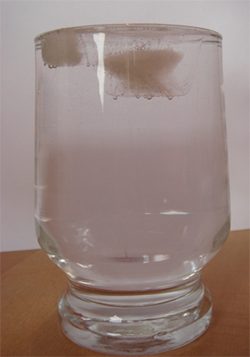 Foto eines mit Wasser gefüllten Glases mit darin schwimmenden
 Eiswürfeln