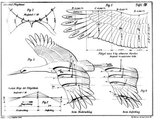 Zeichnung von Otto Lilienthal