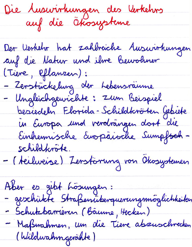 Schüleraufzeichnungen zu den Auswirkungen des Verkehrs auf die Ökosysteme