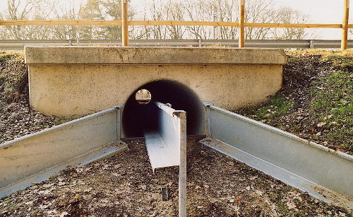 Foto eines Krötentunnels