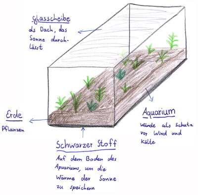 Zeichnung eines Treibhauses