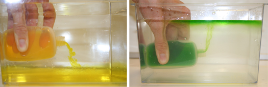 Experiment zur unterschiedlichen Dichte von Salzwasser und Süßwasser