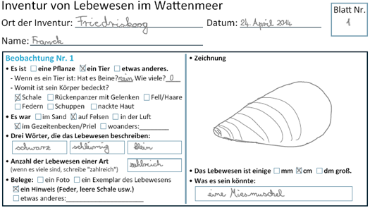 Ein ausgefülltes Feldforschungsblatt