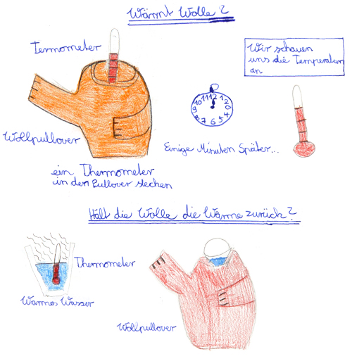 Zeichnung: Wärmt Wolle?