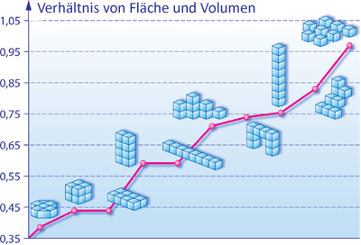 Diagramm: Verhältnis von Fläche und Volumen