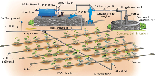 Funktionsweise der Tröpfchenbewässerung