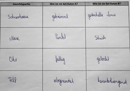 Die ausgefüllte Tabelle des Abrbeitsblattes 2