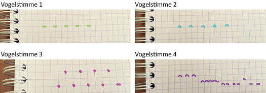 Muster für den Gesang von Nonnenmeise, Haussperling, Kohlmeise und Buchfink