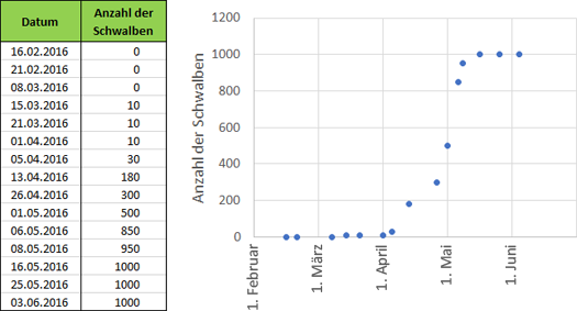 Anzahl der beobachteten Schwalben zwischen Februar und Anfang Juni 2016