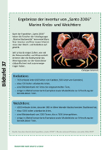 Ergebnisse der Inventur: Marine Krebs- und Weichtiere