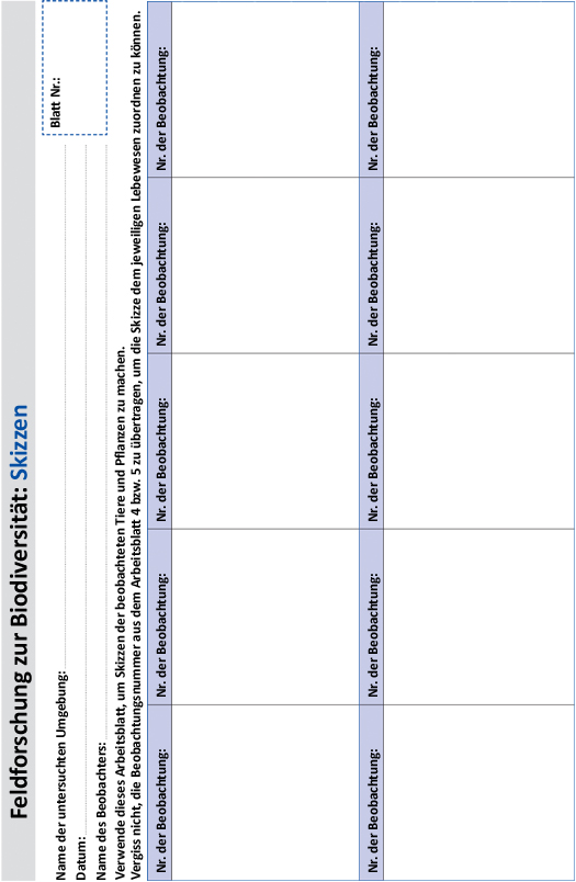Feldforschungsblatt Skizzen