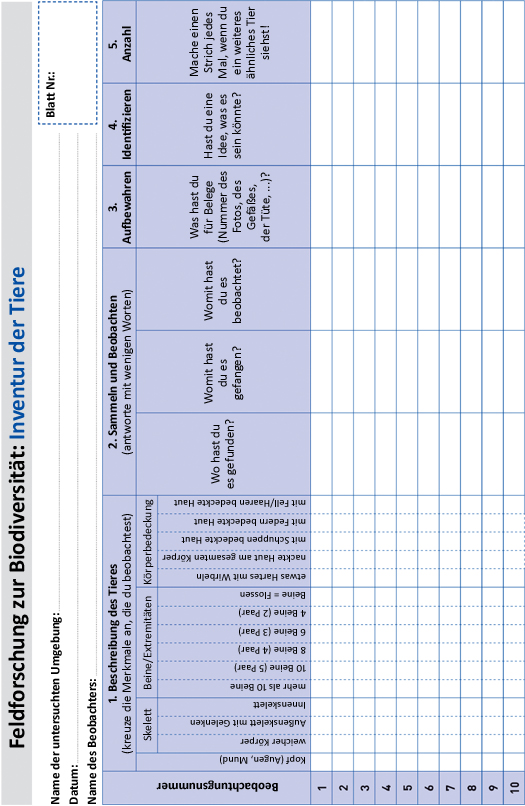 Feldforschungsblatt Tiere